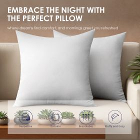 White Square Pillow Bubble Bag 2 Pack (Option: 45x45X15cm)